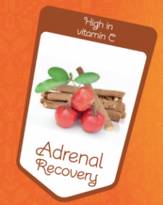 adrenal recovery